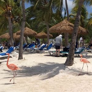 Meet your Posher, Pat